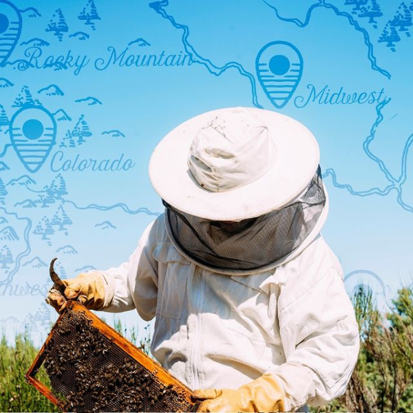 LOCHIV HONEY NORTHWEST ( 6 X 16 OZ   )-8